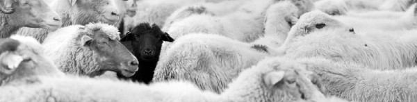 Gag-Klau in der COmedy